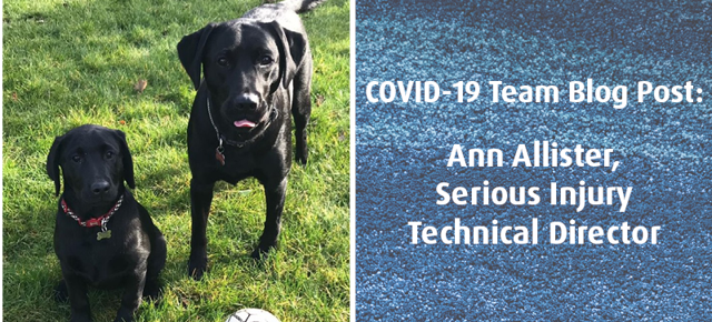 Ann 1