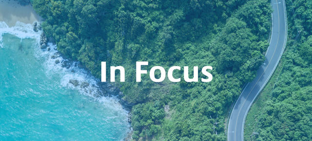 In Focus Website (1)