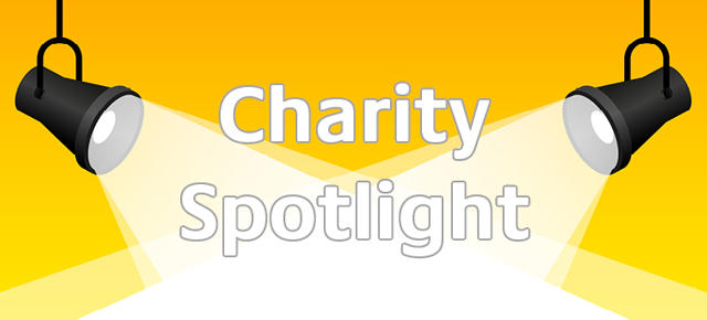 Website Front Page Preview Image Spotlight